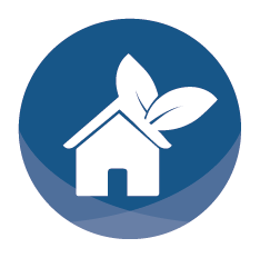 icon service